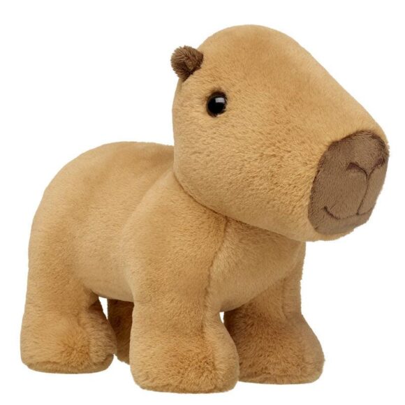 Capybara