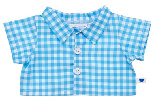 Blue Gingham Shirt