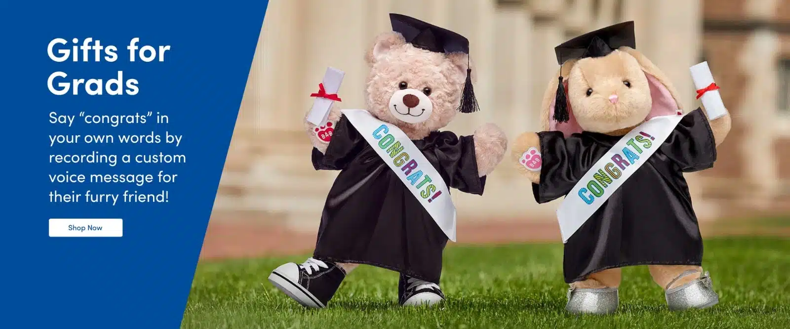 Graduation Bear Banner